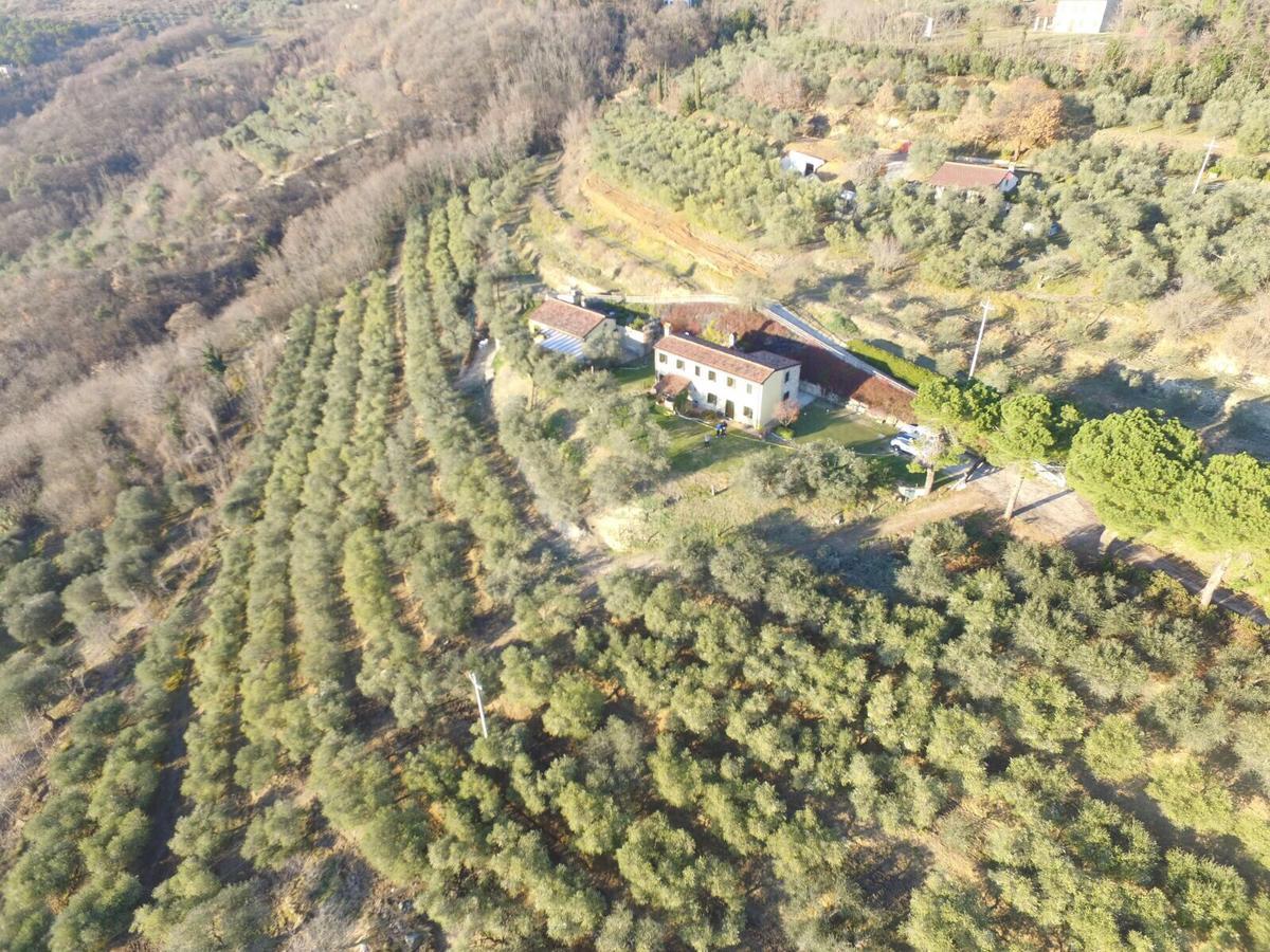 Holiday House Petrarca Аркуа Петрарка Екстериор снимка
